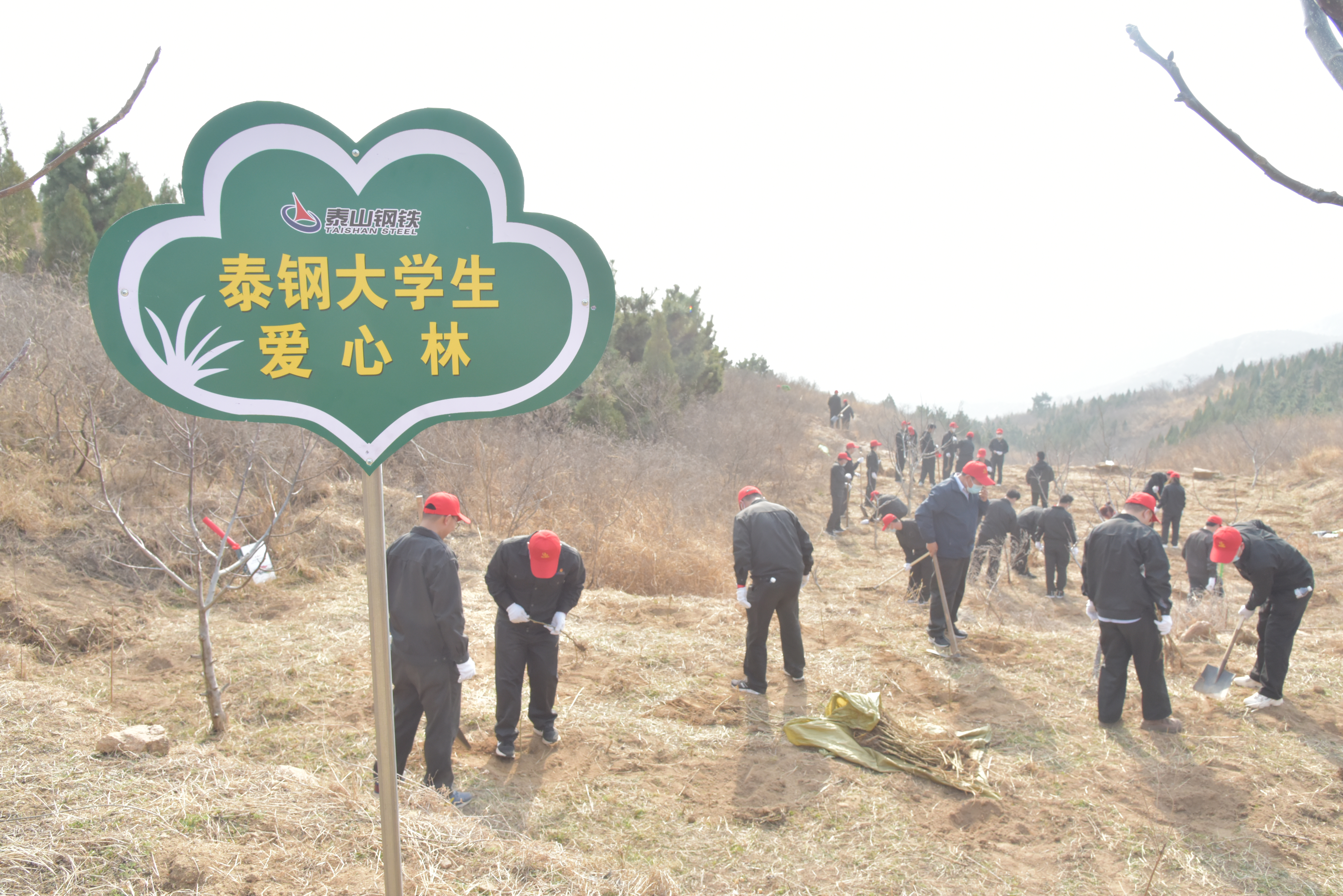 赢博(中国)大学生植爱心林